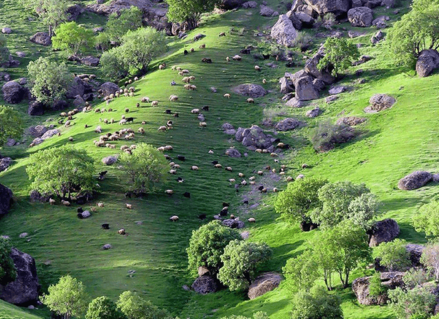 لرستان